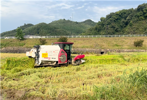 天津：2026年1-8月农机累计出口量价齐升